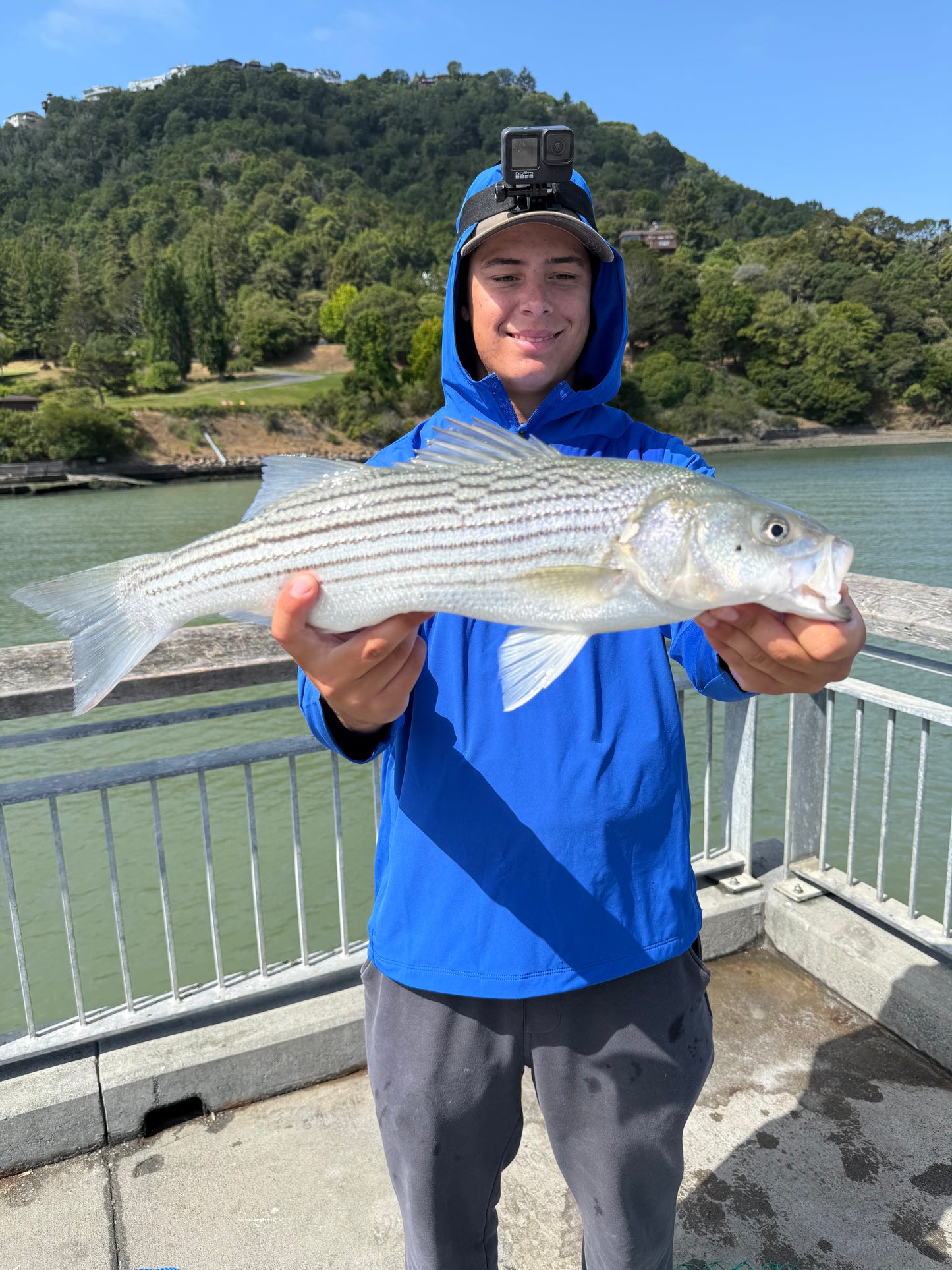 JZFishing Striped Bass Rig