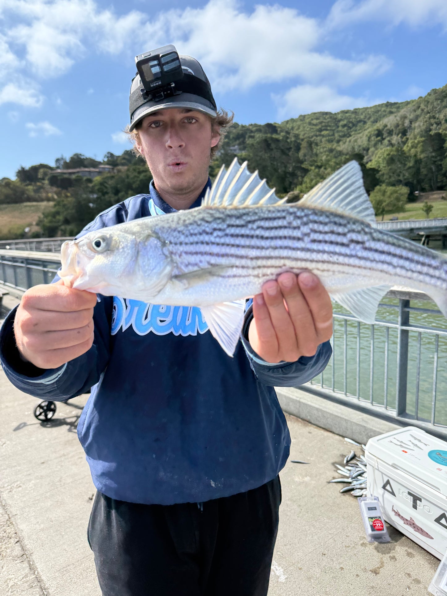 JZFishing Striped Bass Rig